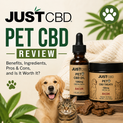 JustCBD Pet CBD Review: Is It Worth It?