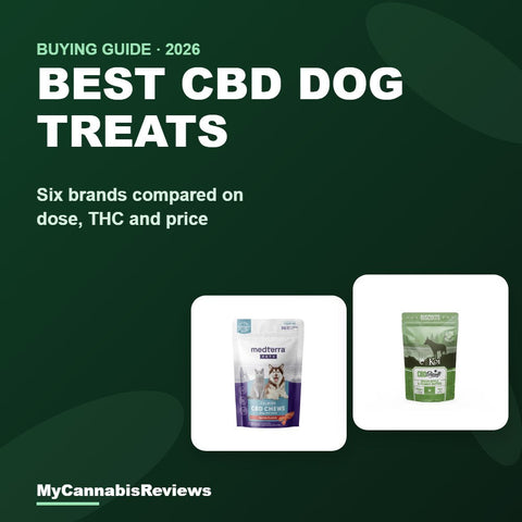 Best CBD dog treats 2026 cover showing Medterra Pet CBD Calming Chews and Koi CBD Dog Biscuits Calming Support