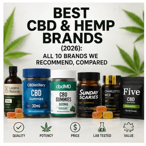 Best CBD & Hemp Brands (2026): All 11 Brands We Recommend, Compared