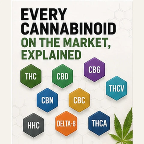 Coloured hexagon labels for THC, CBD, CBG, CBN, CBC, THCV, HHC, delta-8 and THCA beside a green cannabis leaf