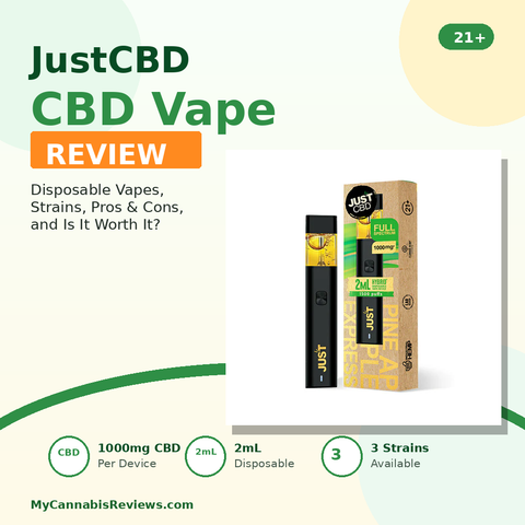 JustCBD CBD Vape Review: Are They Worth It?