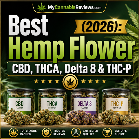 Best Hemp Flower (2026): CBD, THCA, Delta 8 & THC-P — My Cannabis Reviews cover graphic showing hemp flower jars and pre-rolls