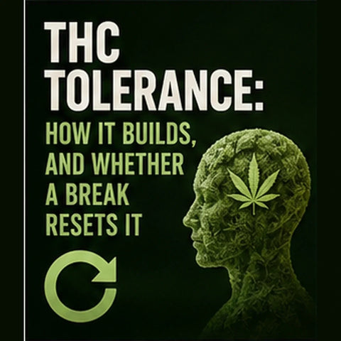 Profile silhouette of a head filled with cannabis texture beside a circular reset arrow, illustrating how THC tolerance builds and whether a break resets it