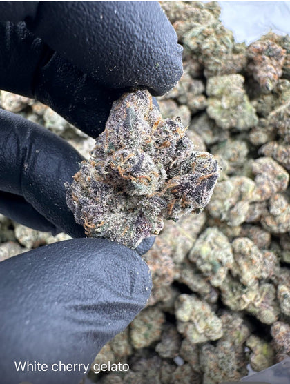 Flannel Boyz White Cherry Gelato THCA Flower