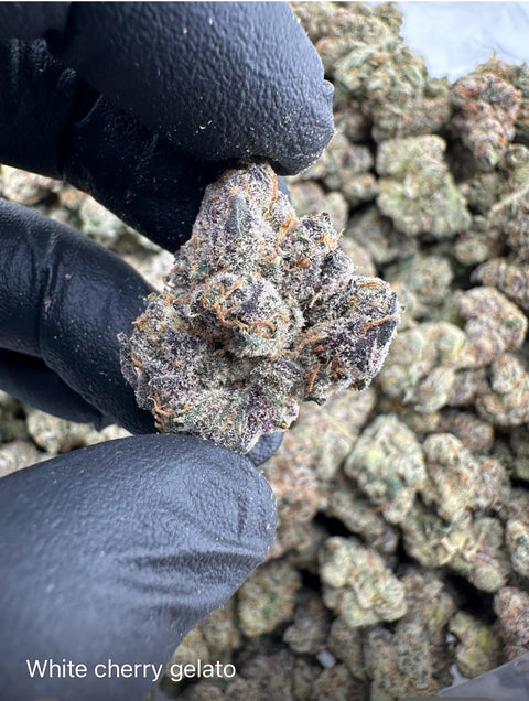 Flannel Boyz White Cherry Gelato THCA Flower