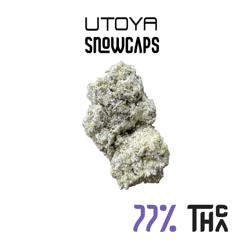 Utoya THCA Snowcaps Flower 77% THCA